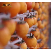 100% Nature Chinese dried Persimmon sweet snack dried persimmon